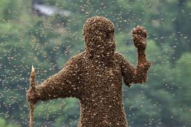 Maged.CrossPollination.BeeSwarm